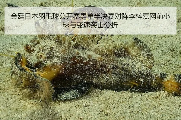 jin-ting-ri-ben-yu-mao-qiu-gong-kai-sai-nan-dan-ban-jue-sai-dui-zhen-li-zi-jia-wang-qian-xiao-qiu-yu-bian-su-tu-ji-fen-1-847.jpg