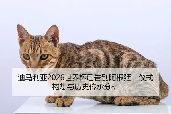di-ma-li-ya-shi-jie-bei-hou-gao-bie-a-gen-ting-yi-shi-gou-xiang-yu-li-shi-chuan-cheng-fen-xi-2-820.jpg